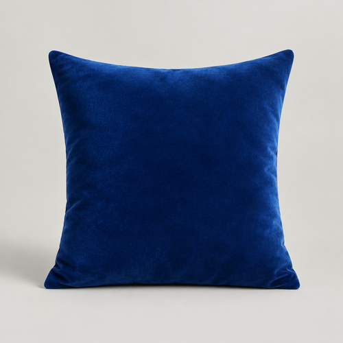 Velvet Throw Pillow
